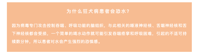 春雨医生