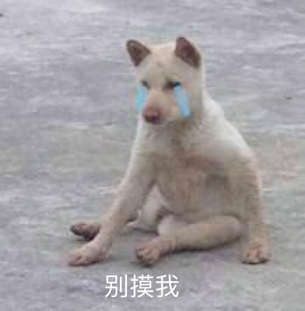 春雨医生