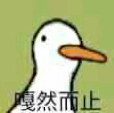 春雨医生 春雨医生
