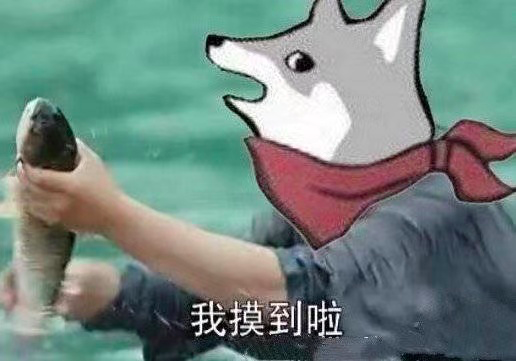春雨医生 春雨医生