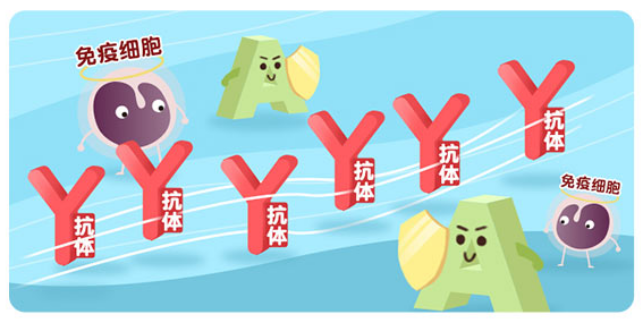 春雨医生
