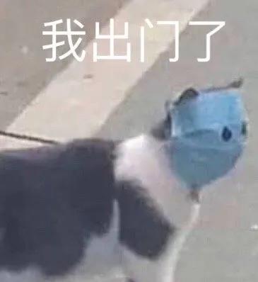 春雨医生 春雨医生
