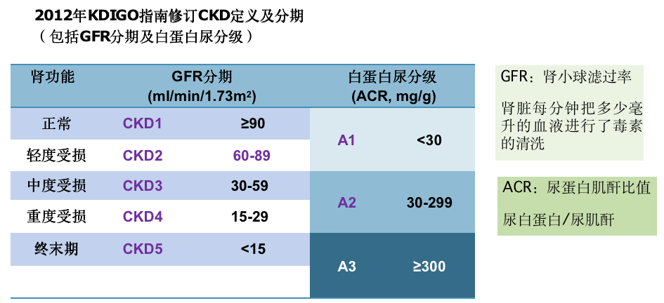 慢性肾脏病可以粗略地分为肾脏储存功能减少,肾功能不全和肾衰竭(esrd