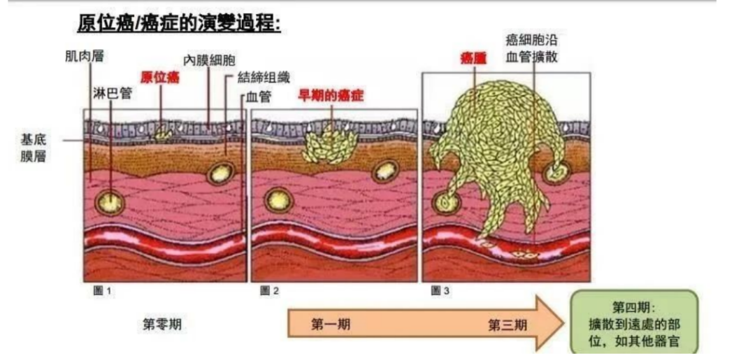 春雨医生 春雨医生