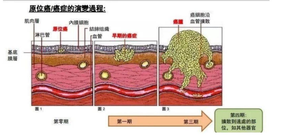 春雨医生