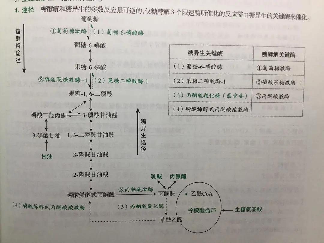 春雨医生