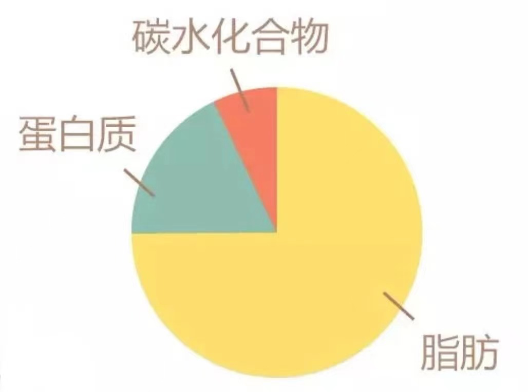 春雨医生