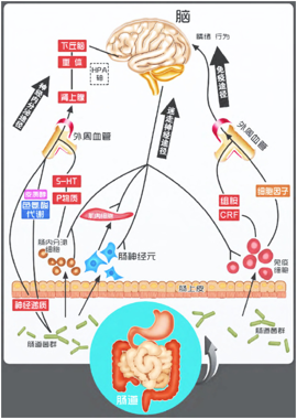 春雨医生 春雨医生