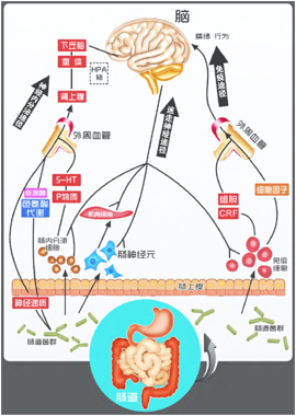 春雨医生