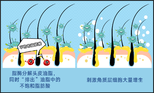 春雨医生