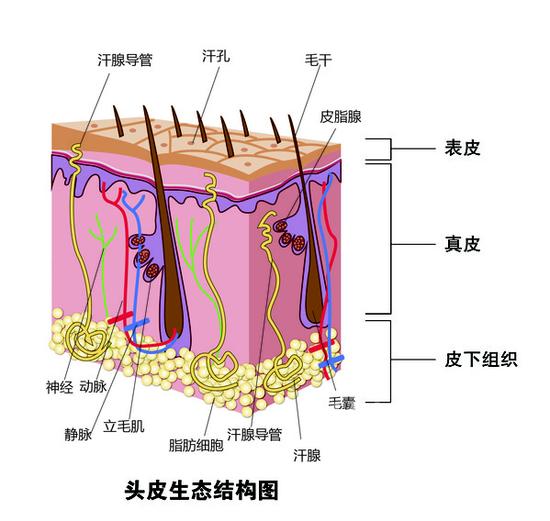 春雨医生