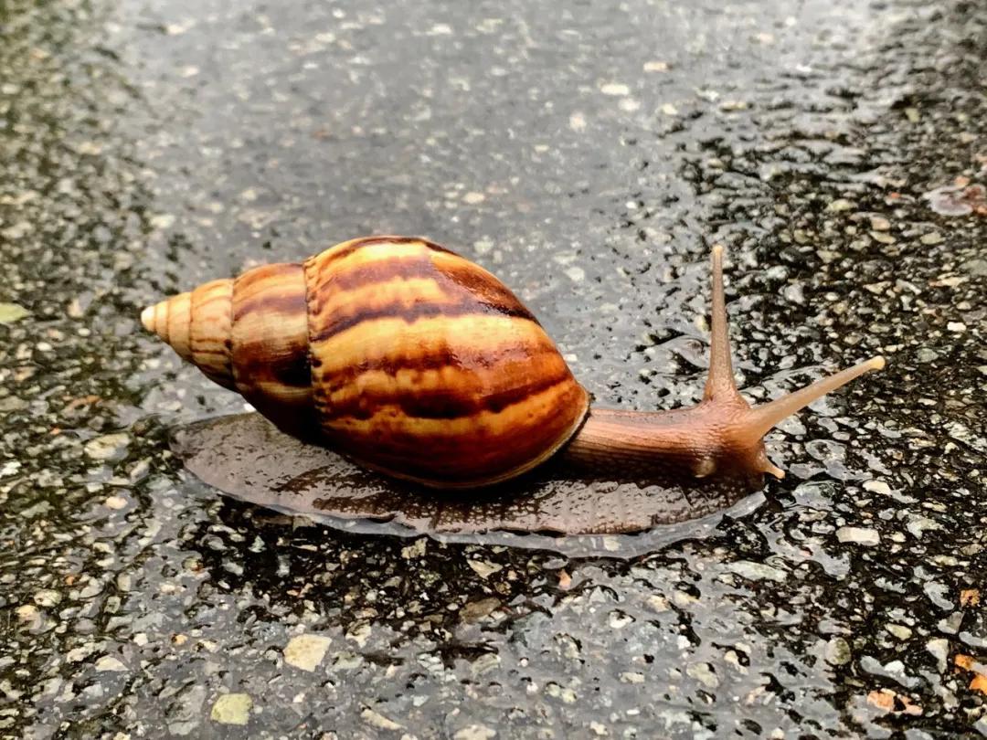 春雨医生