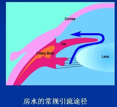 春雨医生