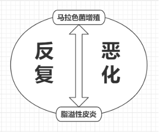春雨医生 春雨医生