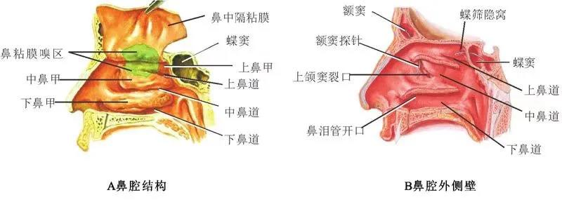 春雨医生 春雨医生
