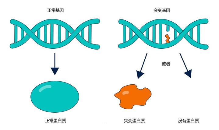 得了肿瘤