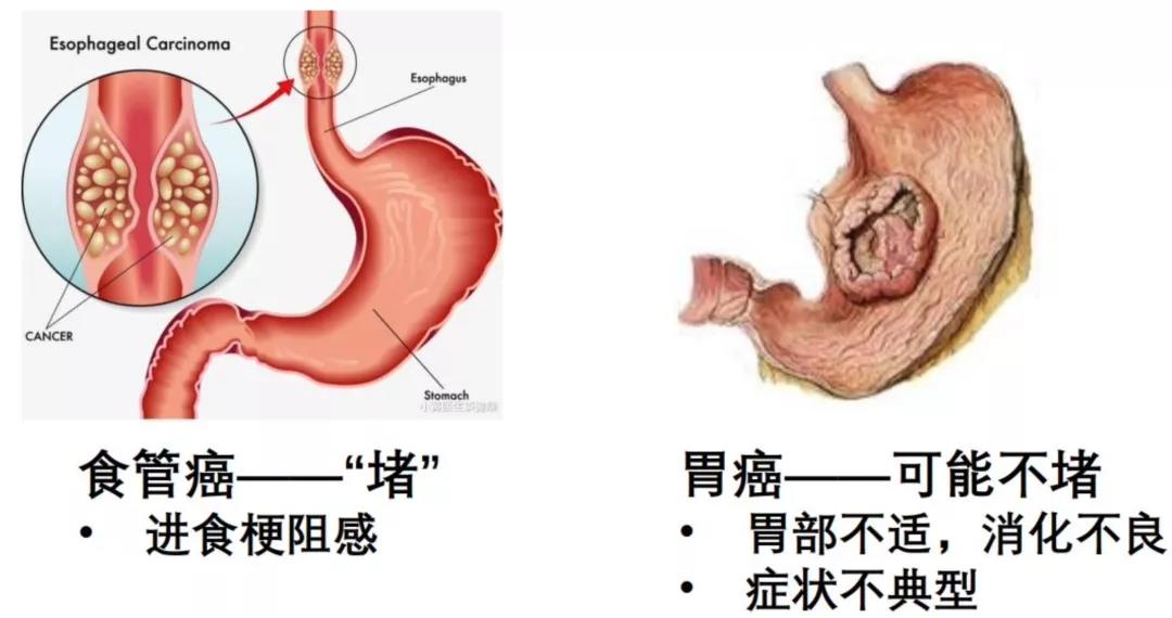 春雨医生 春雨医生
