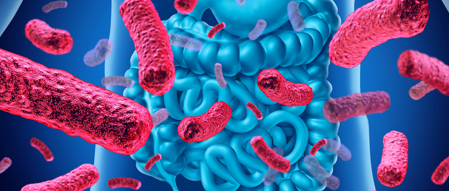 春雨医生 春雨医生