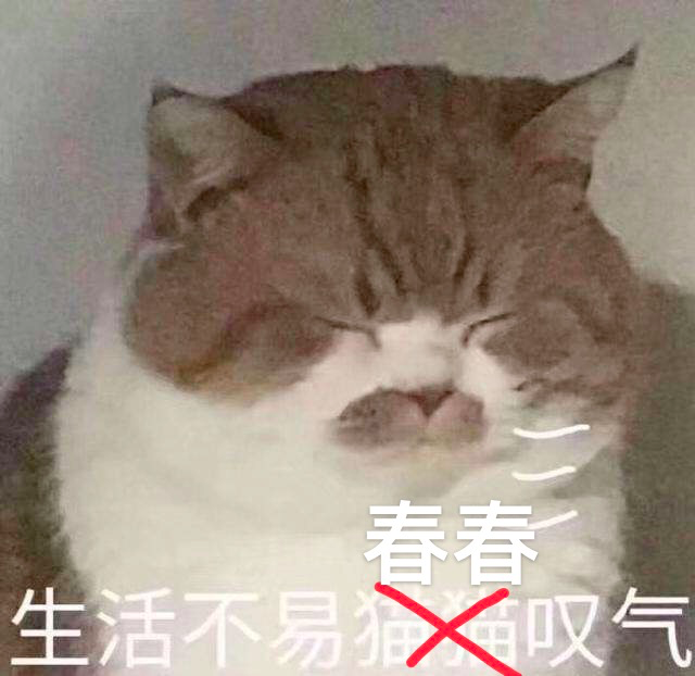 春雨医生 春雨医生