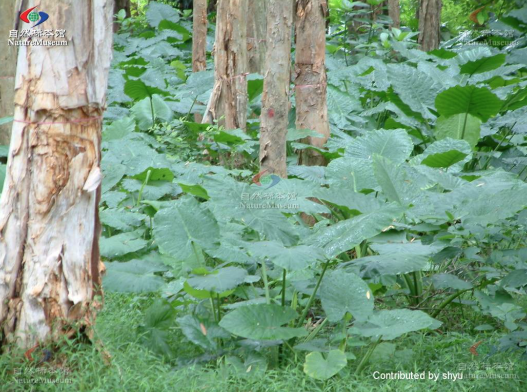 春雨医生 春雨医生
