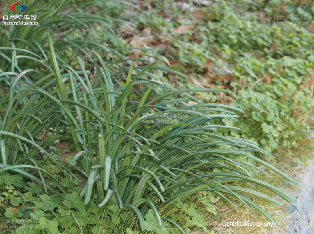 春雨医生 春雨医生