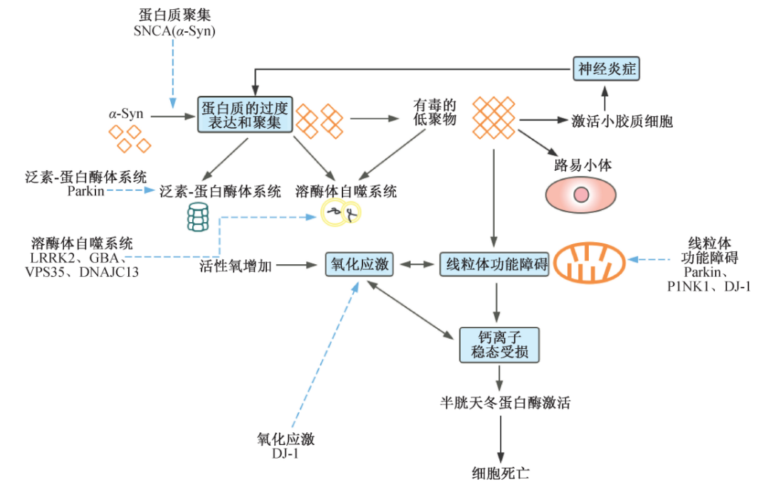 别等手抖了才怀疑帕金森这些征兆要留心