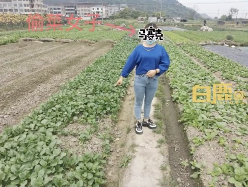 春雨医生 春雨医生