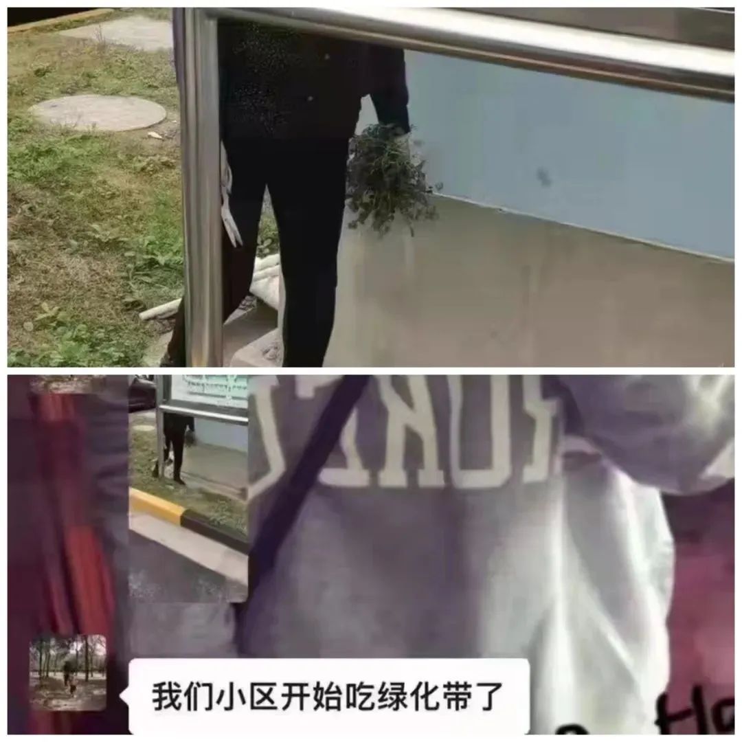春雨医生 春雨医生