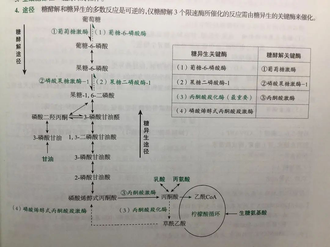 春雨醫(yī)生