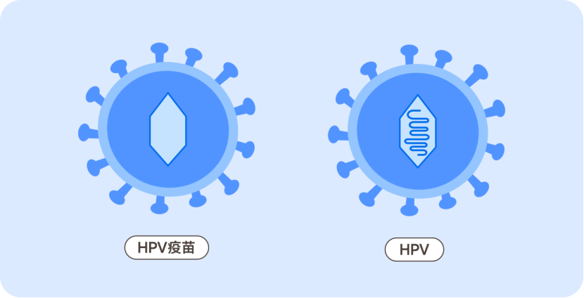 接种HPV疫苗，你是否还在担心安全性和有效性......
