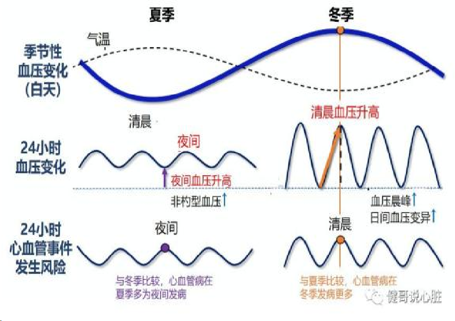 春雨医生