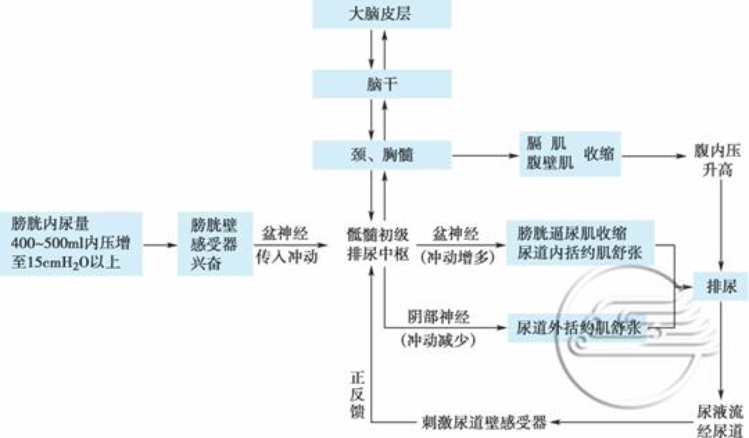 春雨医生