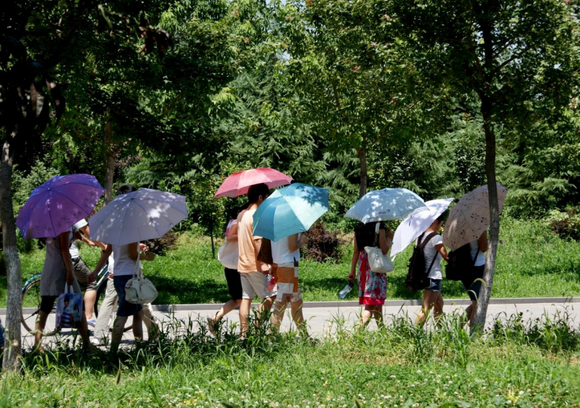 春雨医生