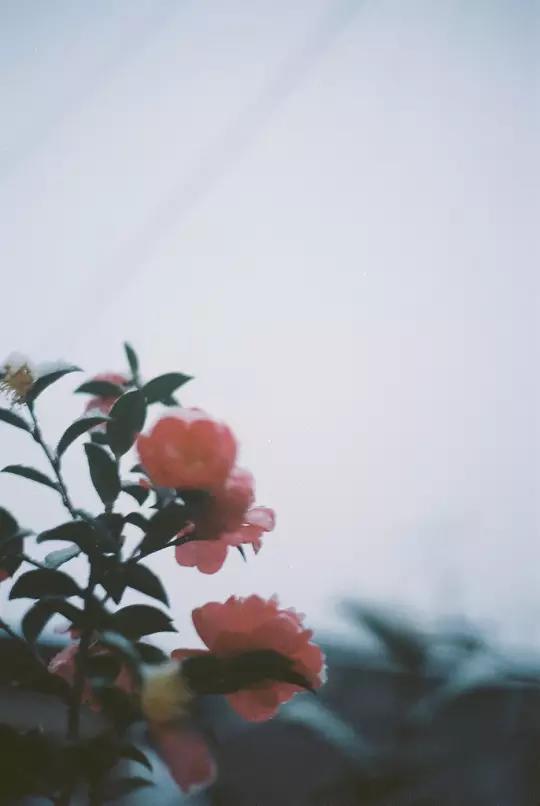 春雨医生