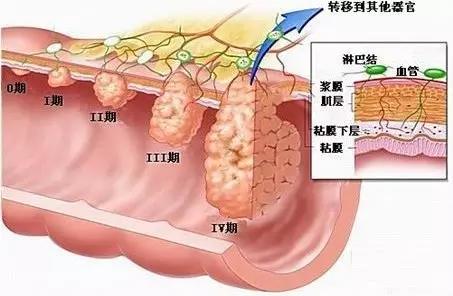 春雨医生