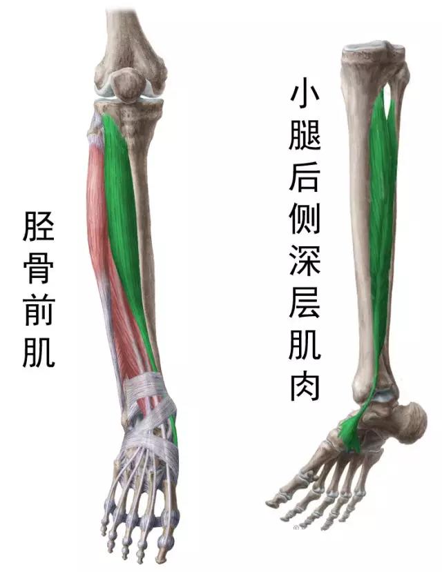 春雨医生