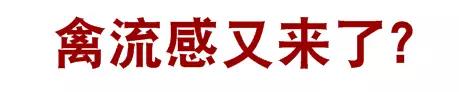 春雨医生
