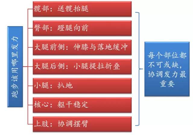 跑步的时候到底该用哪里发力