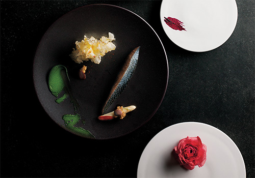 春雨医生 春雨医生